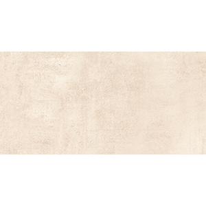 Anemos 30x60 Ivory Matt R10