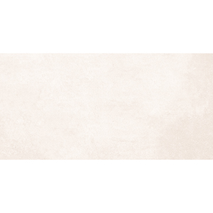 Anemos 30x60 White Matt R10