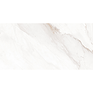Carrara Gold 30x60 White Gloss