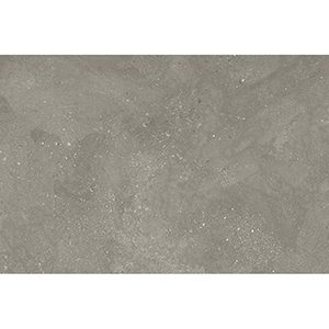 Cementum 60x90x2 Grey Matt R11