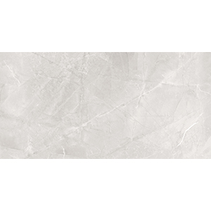 Dazzle Elegant Armani 60x120 Silver Matt