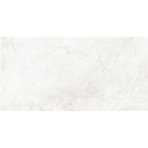 Elgin 30x60 Pearl Polished 1