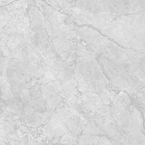 Elgin 60x60 Light Grey Polished 1