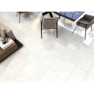 Elgin 60x60 Pearl Polished 2