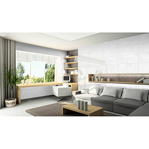 Emola 30x60 Grey Polished 2