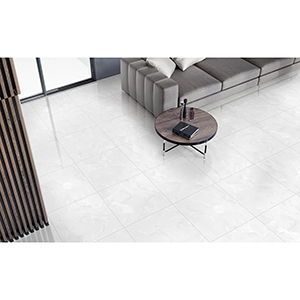 Emola 60x60 Grey Polished 2
