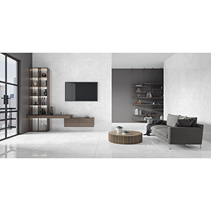 Emola 60x120 Grey Polished 2