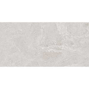 Eternity 30x60 Pearl Matt R10