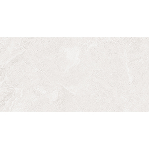 Eternity 30x60 White Matt R10