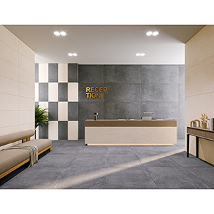 Everest 30x60 Graphite Matt R10 Roomset