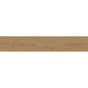 Forest 122x23x0.55 Honey Oak Matt R10 1