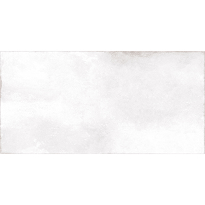 Harmony 30x60 Blanco Gloss