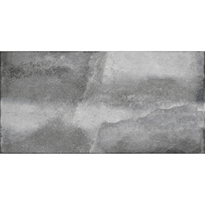 Harmony 30x60 Gris Gloss