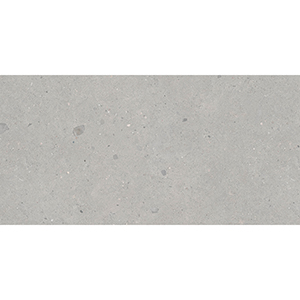 Heliostone Meteor 60x120 Grigio Matt R10