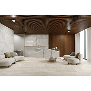 Illusion 30x60 Grey Matt Carving R10 Roomset