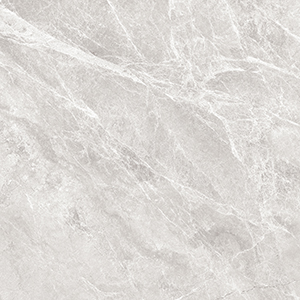 Las Palmas 60x60 Grey Matt R9 1