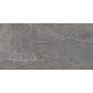 Linsey 60x120 Grey Matt 1
