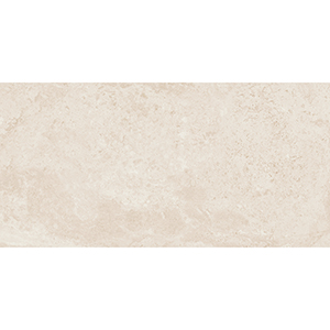 Madison 30x60 Beige Matt 1