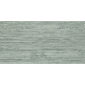 Oxford 60x120 Dark Grey Matt 1