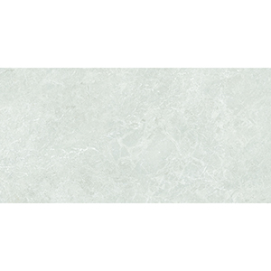 Platina Grande 60x120 Earth Polished