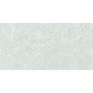 Platina Grande 60x120 Earth Matt