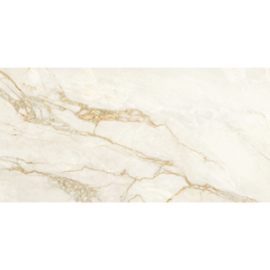 Quartz Sand 60x120 Multi Polished Carving