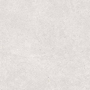 Serenna 60x60 White Matt R10b