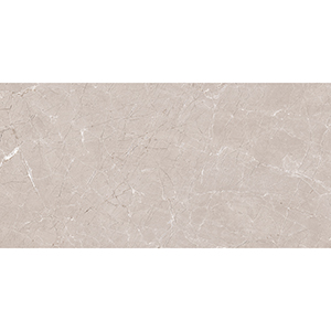 Traffic 30x60 Dark Taupe Gloss