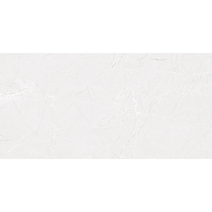 Traffic 30x60 Light Grey Gloss