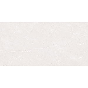 Traffic 30x60 Light Taupe Gloss