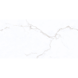 Trevi New 30x60 White Gloss 1