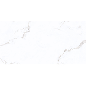 Trevi New 30x60 White Matt 1