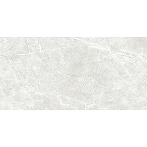 Vienna 29.5x59.5 Bone Matt R9