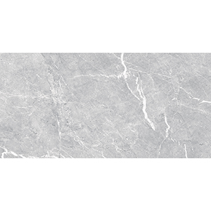 Vienna 29.5x59.5 Light Grey Matt R9