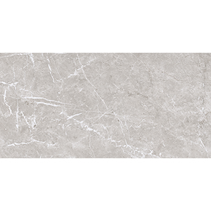 Vienna 29.5x59.5 Taupe Matt R9