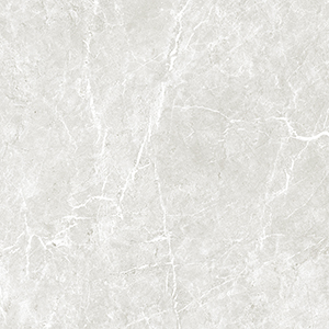 Vienna 59.5x59.5 Bone Matt R9