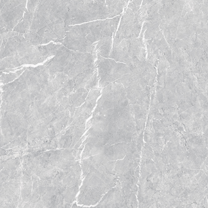 Vienna 59.5x59.5 Light Grey Matt R9