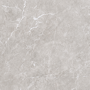 Vienna 59.5x59.5 Taupe Matt R9