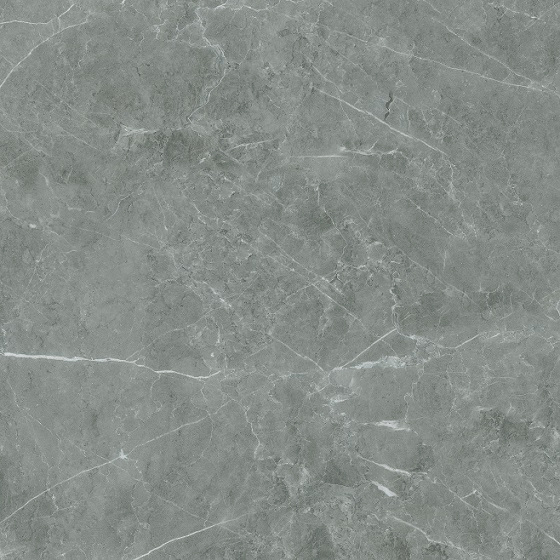 Gianoti 60x60 Grey Polished | Porcelgres