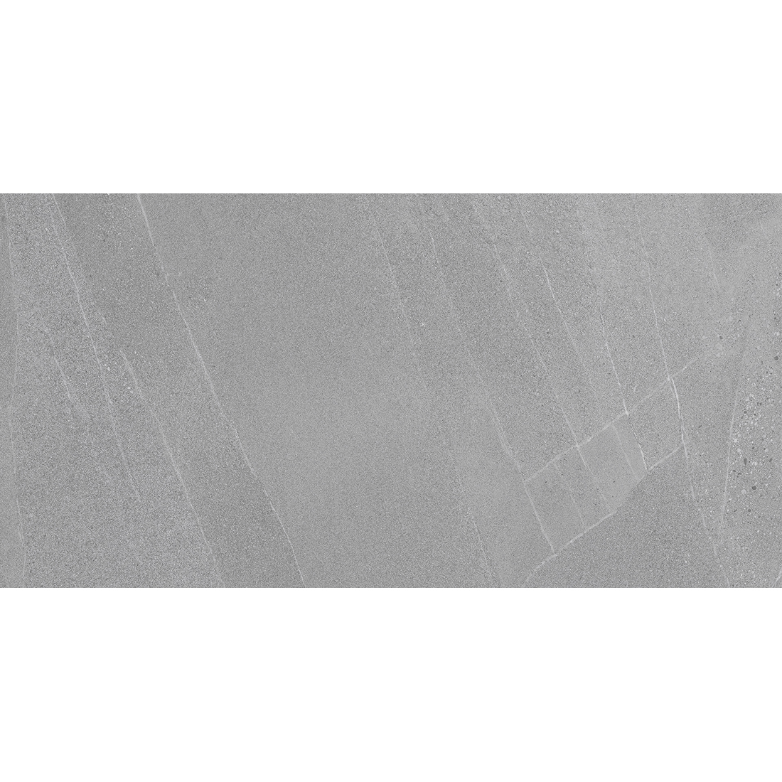 Alpi 30x60 Gris Matt 1