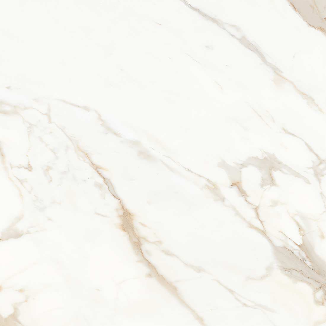 Calacatta Cremino 60x60 Beige Polished 1