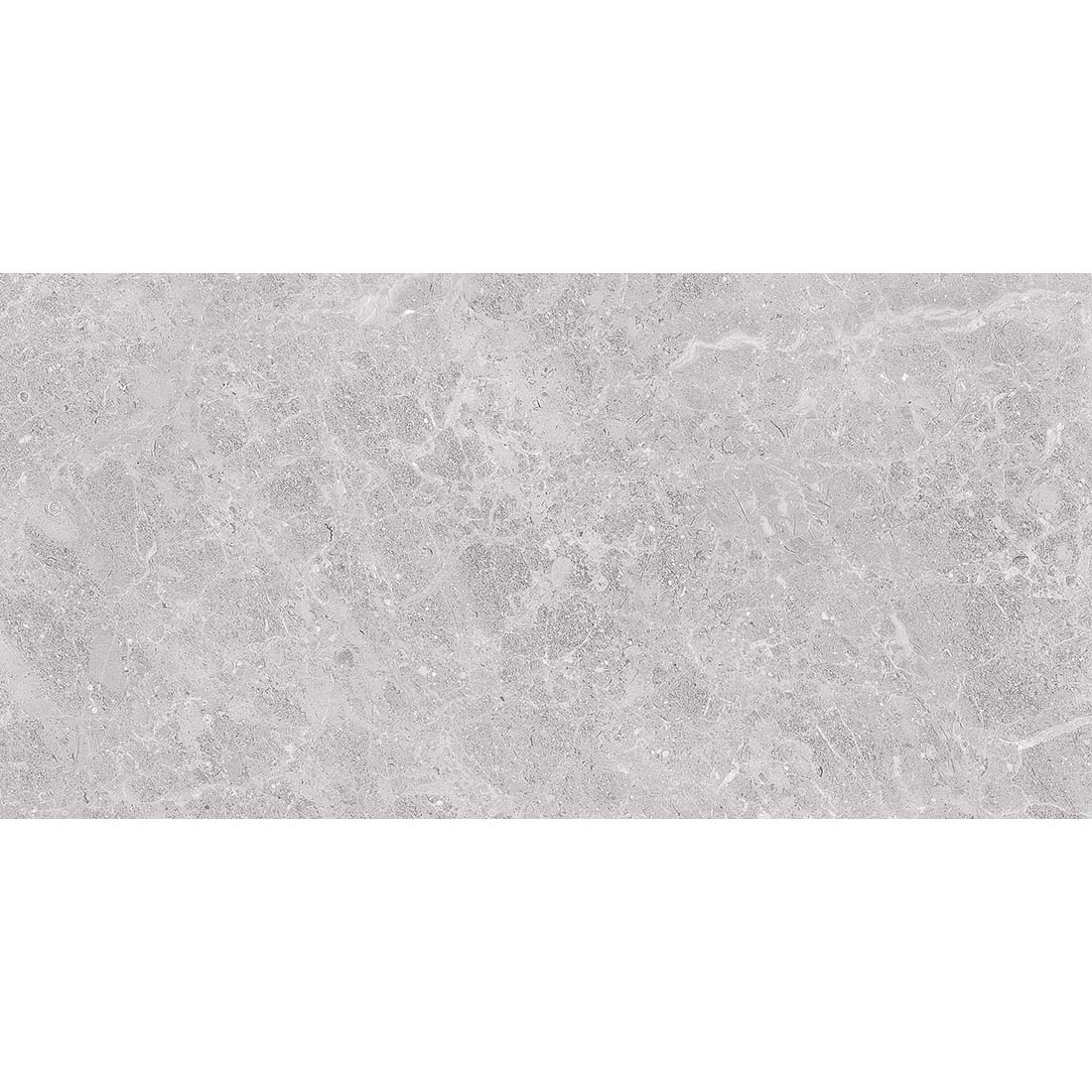 Fossil 30x60 Grey Gloss 1
