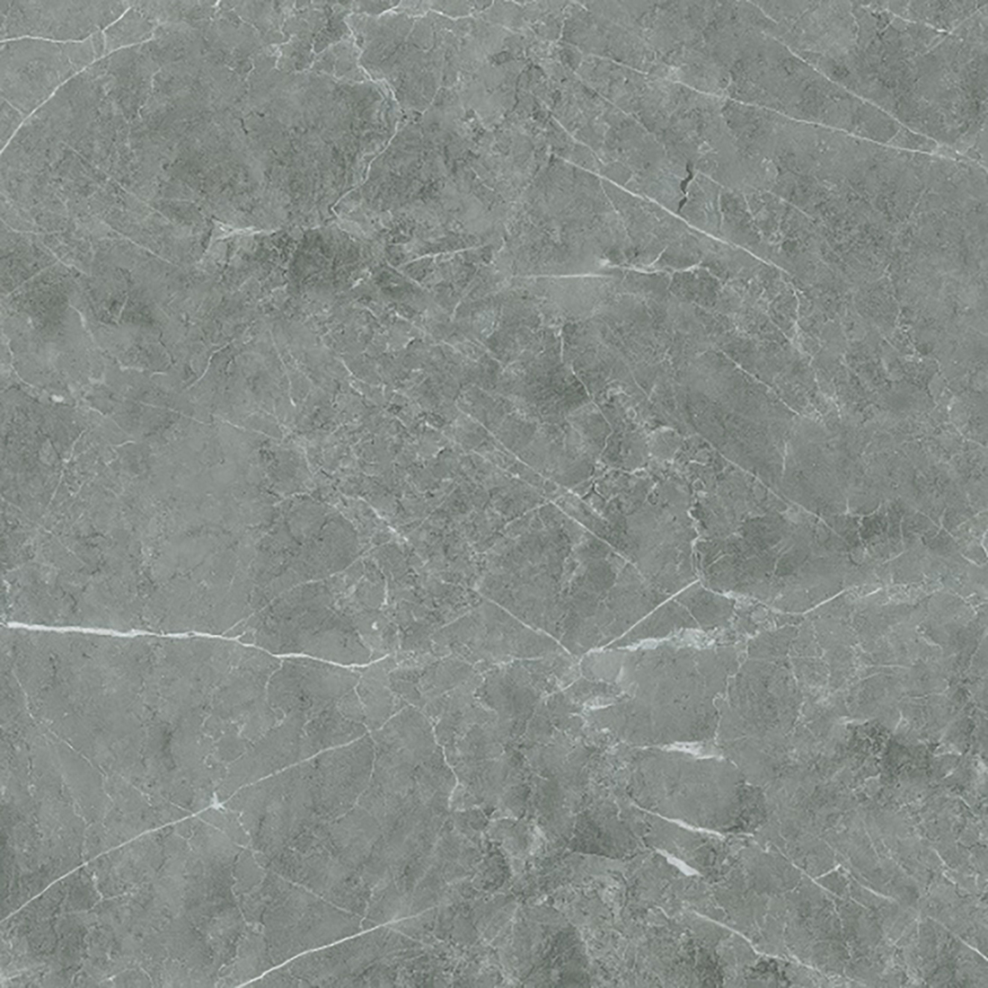 Gianoti 60x60 Grey Polished 1