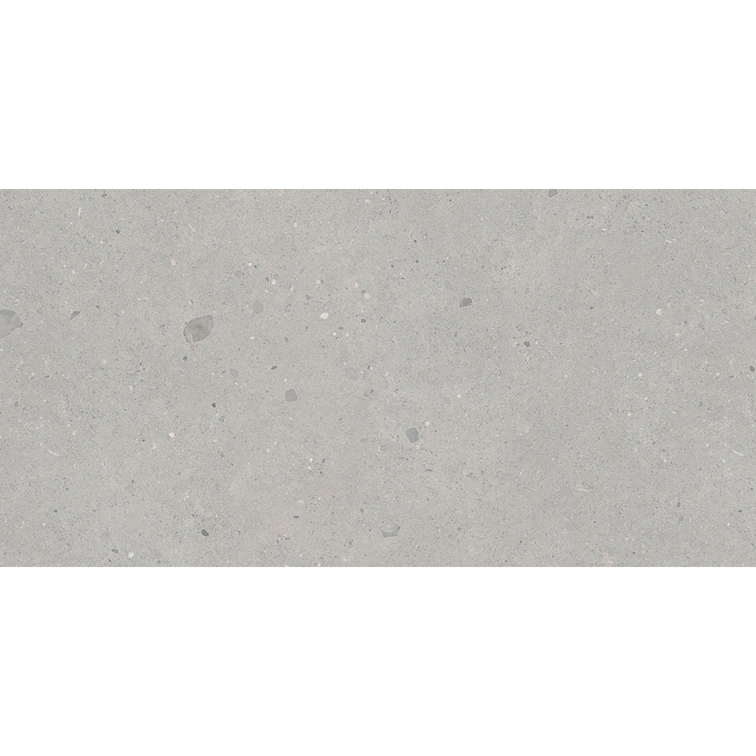 Heliostone Meteor 60x120 Grigio Matt R10 1