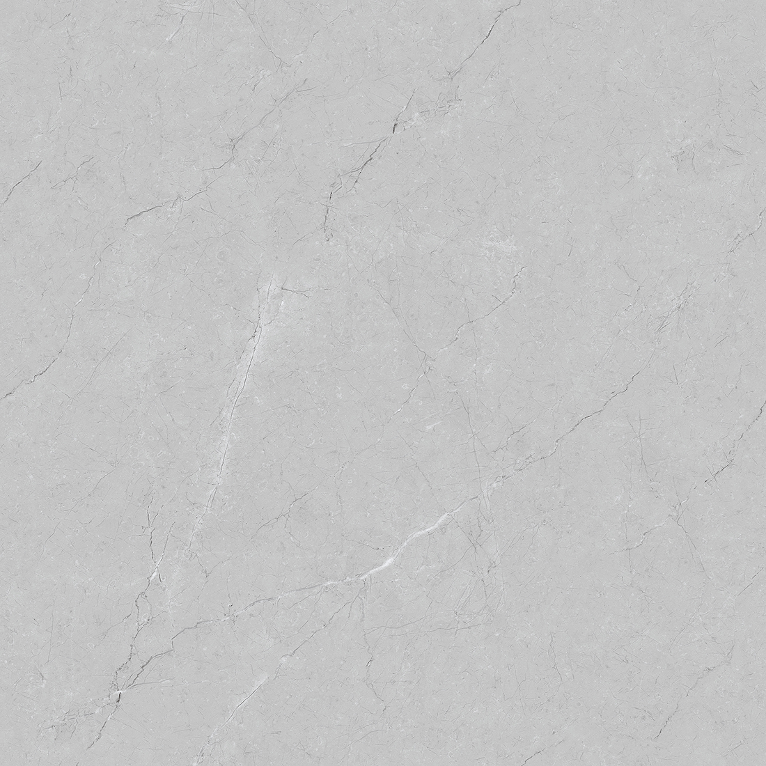 Perlato 60x60 Grey Polished 1