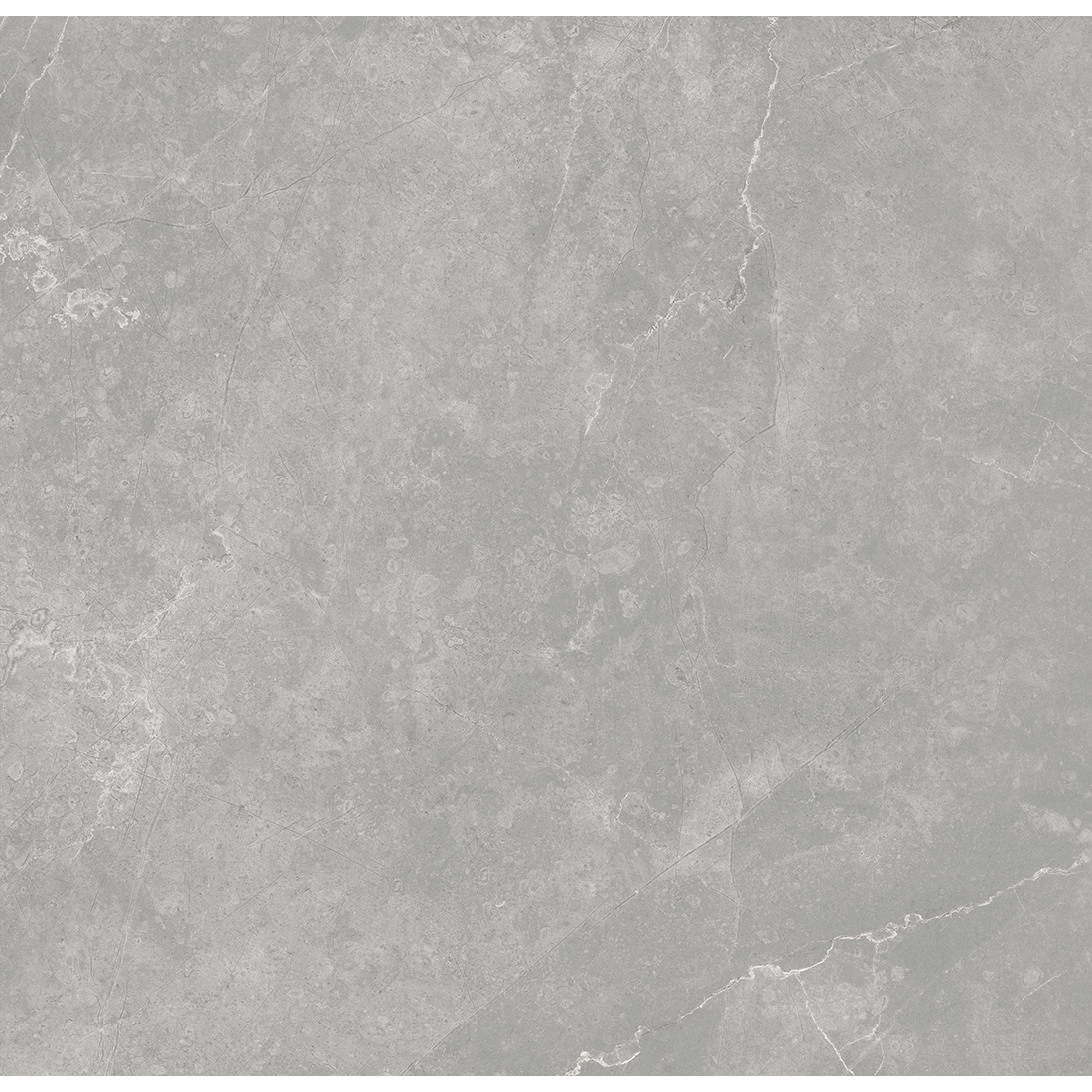 Pietra Lagos 60.5x60.5 Grey Polished 1