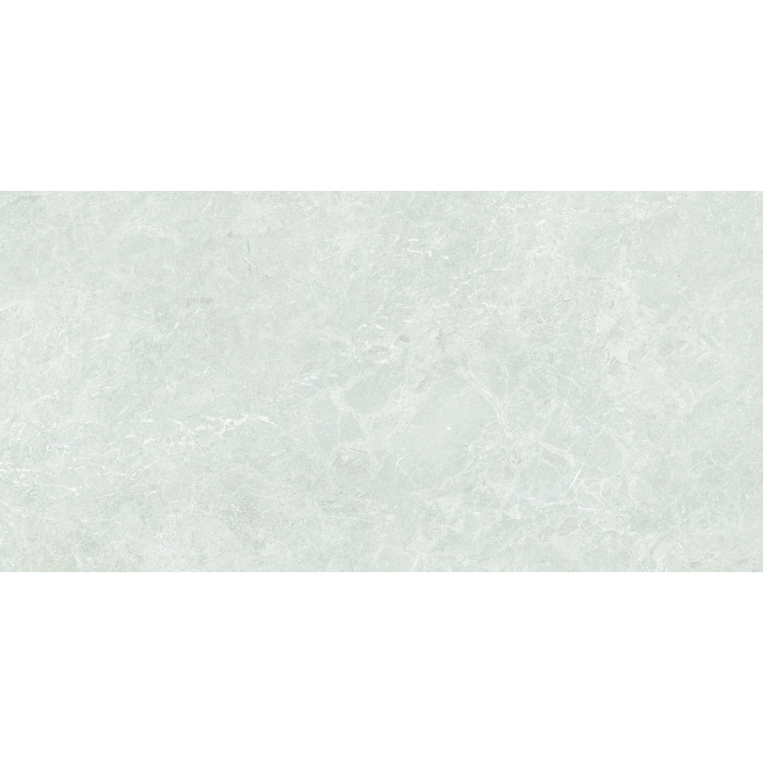 Platina Grande 60x120 Earth Polished 1