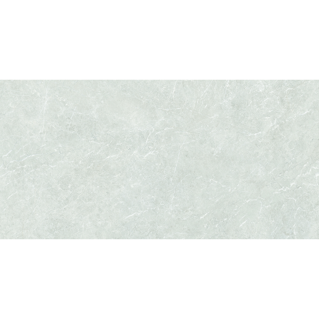 Platina Grande 60x120 Earth Matt 1