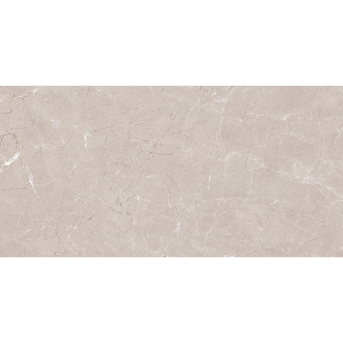 Traffic 30x60 Dark Taupe Gloss 1