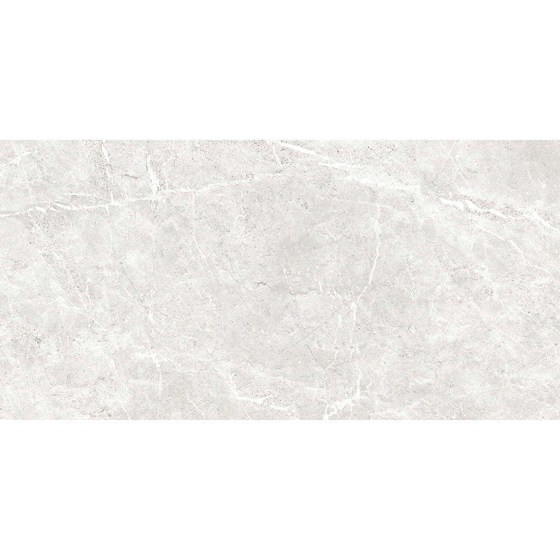 Vienna 29.5x59.5 Bone Matt R9 1